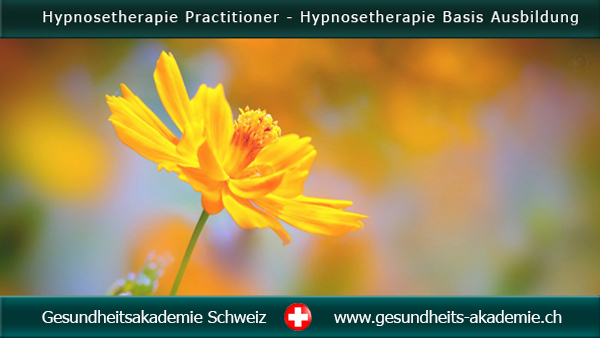 Hypnosetherapie Practitioner